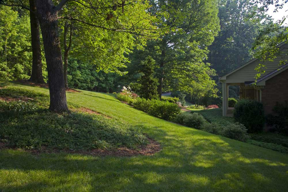 Tree Trimming Services Allow You to Enjoy Your Landscape Year-Round