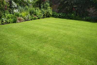 Prepare Your Lawn for Upcoming Seasons and Next Year